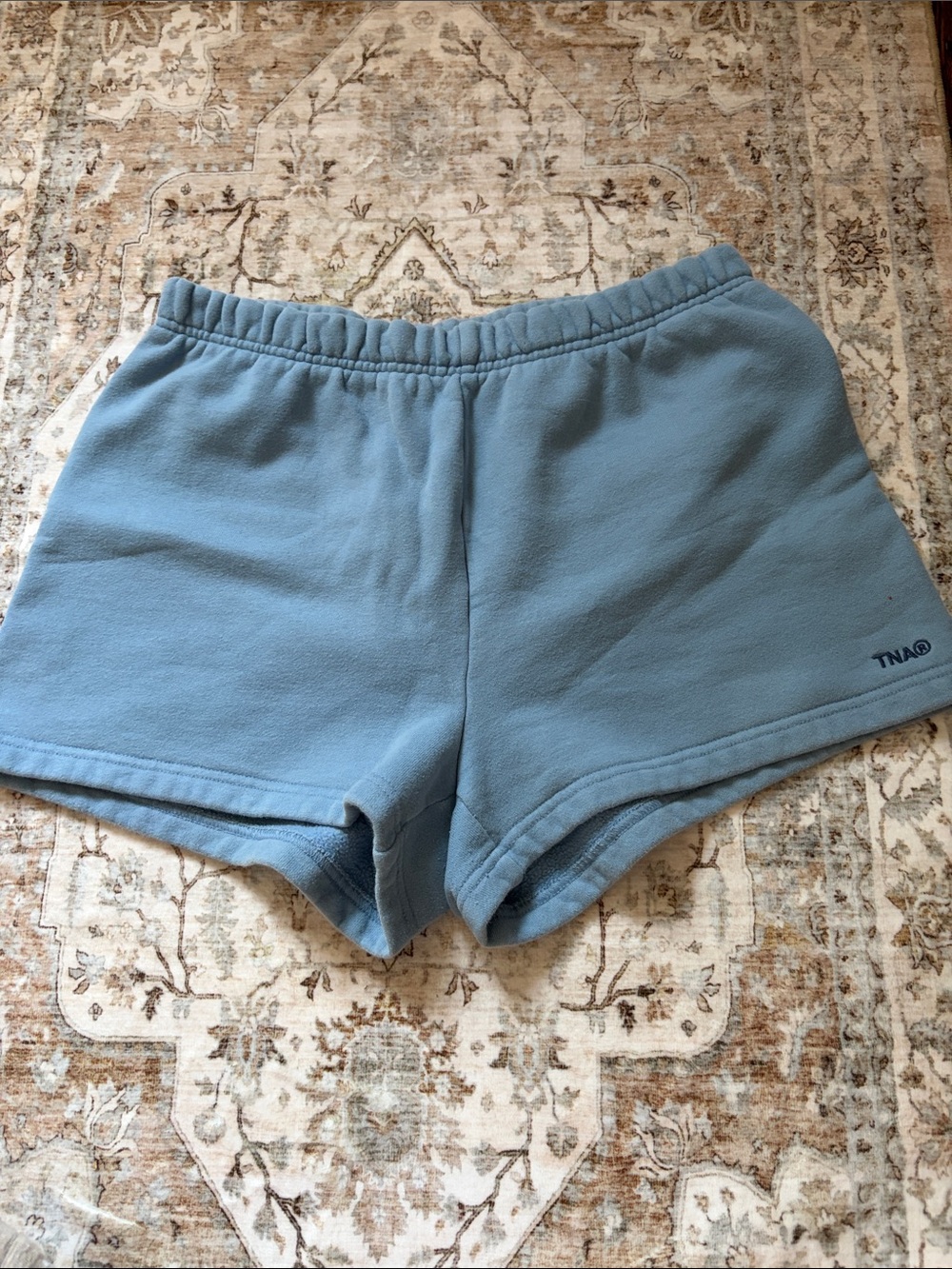 TNA Aritzia Light Blue Sweatfleece Lounge shorts